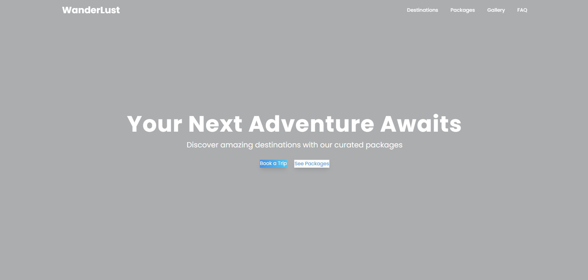 Travel Web Sitesi